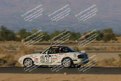 media/Oct-14-2023-Lucky Dog Racing (Sat) [[cef75db616]]/Turn 14 Inside Speed Pans (450pm)/